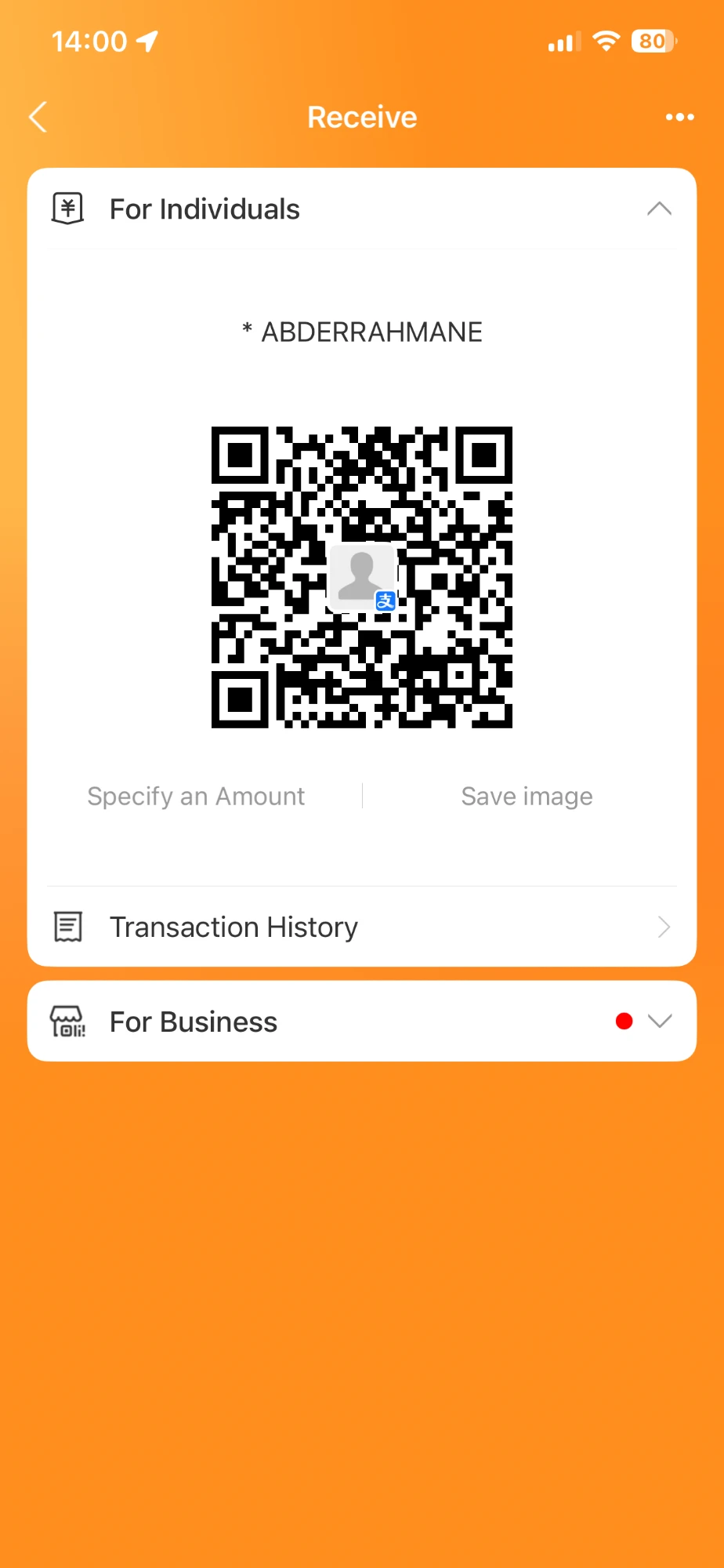 Alipay QR — 100 CNY